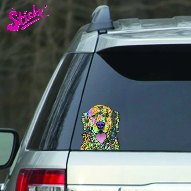 Липкий прекрасный подходит для породы золотистый ретривер со вставкой