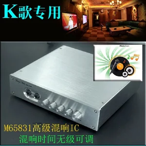 Караоке-предусилитель WEILIANG AUDIO M65831