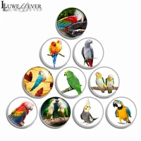 12mm 10mm 16mm 20mm 25mm 30mm 436 cute parrot mix round glass cabochon jewelry finding 18mm snap button charm bracelet