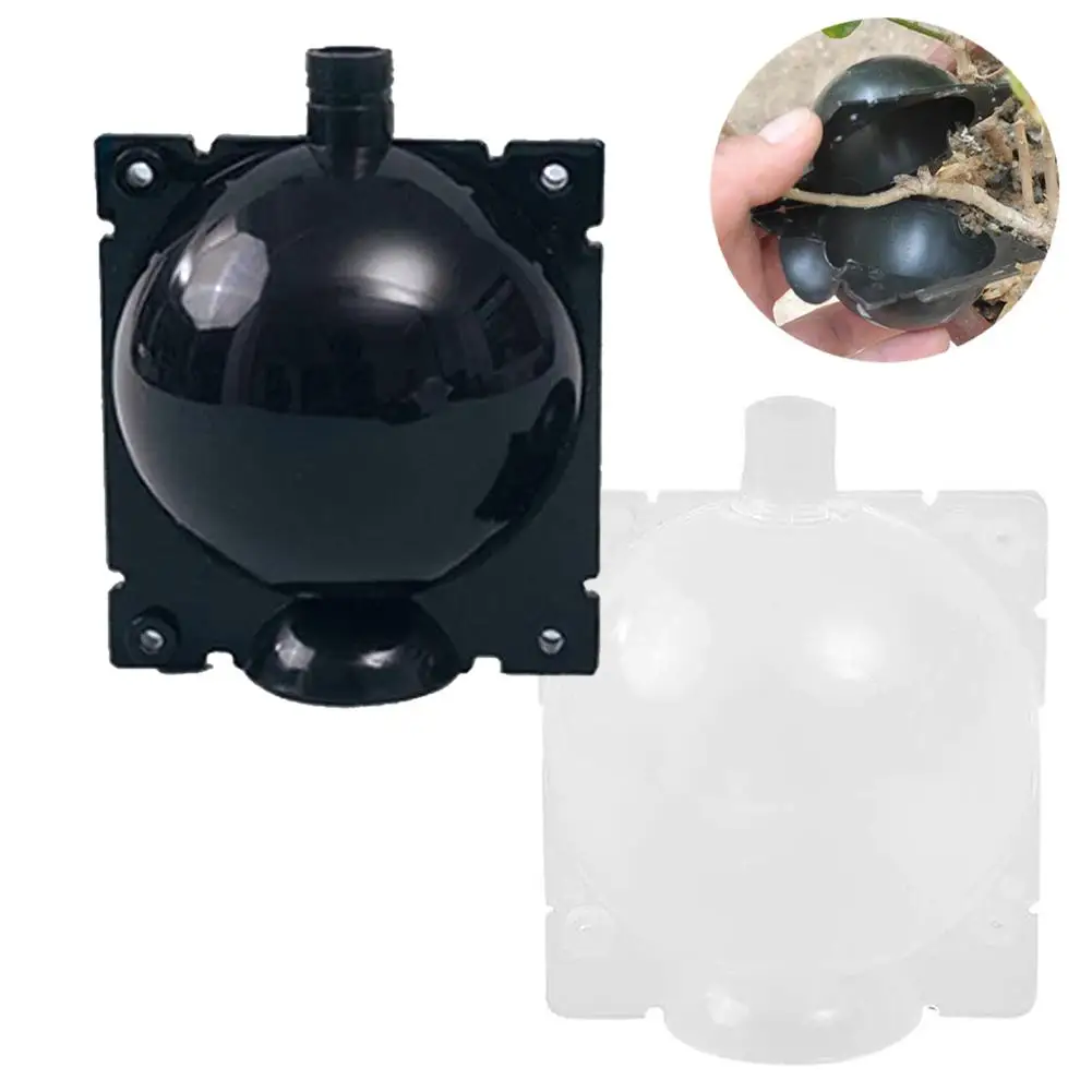 Коробка для укоренения растений многоразовый шар распространения капсула