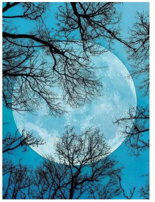 Алмазная вышивка с деревом и луной полностью круглая картина из страз наклейка