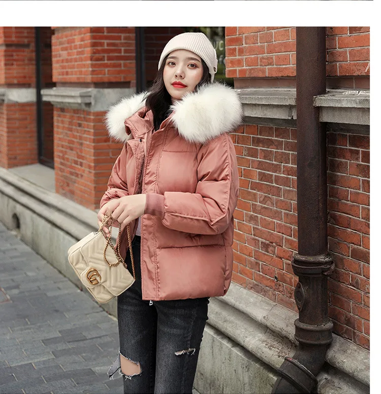 Женские зимние куртки короткие стильные парки с хлопковой подкладкой 2019 модные