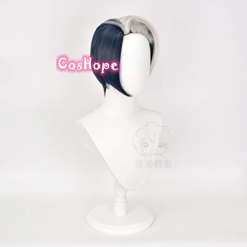 Divus Crewel косплей парик витая Страна Чудес серый синий аниме парики термостойкие