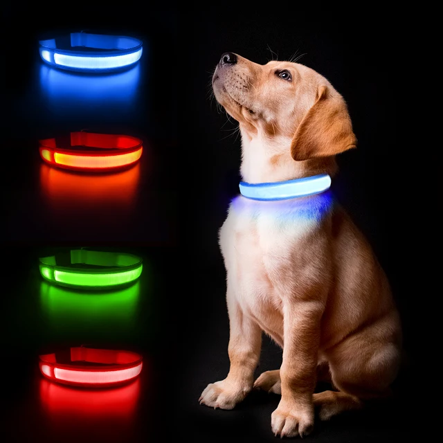 MASBRILL Dog Collar Luminous Pet Supplies Dog Collar Waterpoof Safety Collars dropship 1