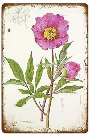 

Metal Tin Sign Garden Flowers Pub Outdoor Bar Retro Poster Home Kitchen Restaurant Wall Decor Signs 16X12inch