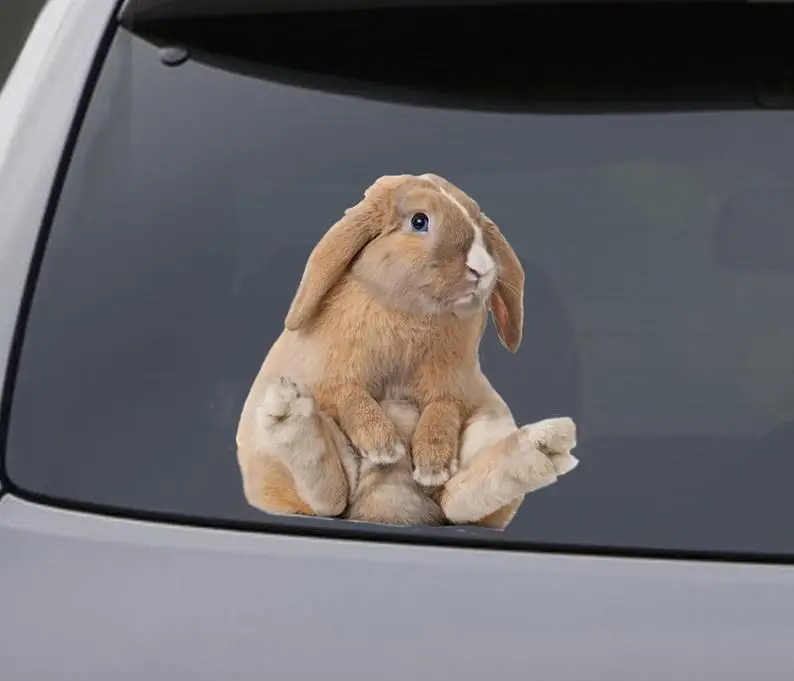 

Rabbit window sticker, car sticker, Rabbit car decal