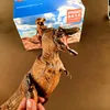 Изображение товара 5
