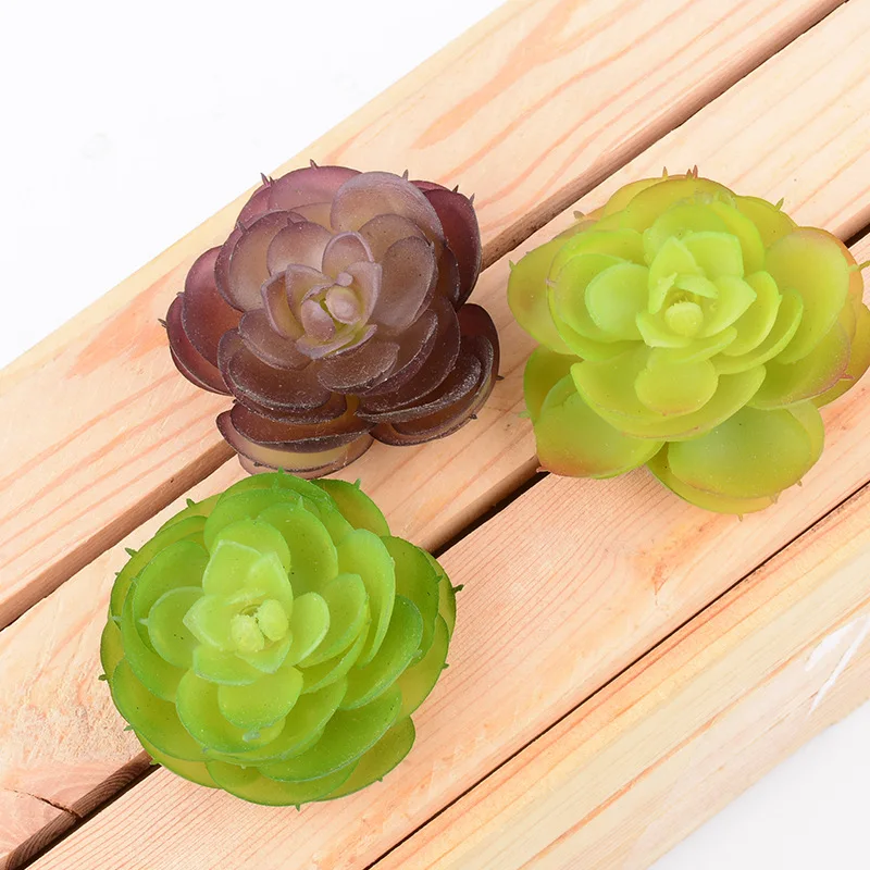 Имитация суккулентных растений-роза с круглым сердечником и суккулентами | Дом