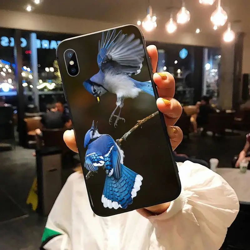 

Bird animal cute high quality cover Phone Case for iPhone 11 12 pro XS MAX 8 7 6 6S Plus X 5S SE 2020 XR