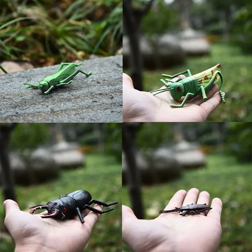 

12 шт./компл. моделирование животного, модель динозавра, игрушка модель Насекомого для детей