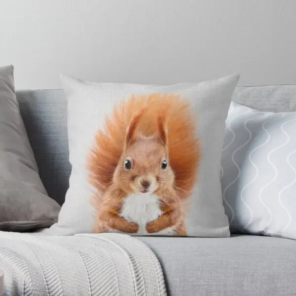 

Squirrel 2 Colorful Printing Throw Pillow Cover Polyester Peach Skin Soft Sofa Waist Hotel Fashion Wedding Pillows not include