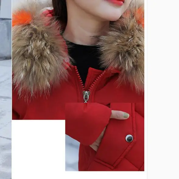 

2021 winter with New style fashion Long sleeve hooded Women's cotton-padded clothes coat