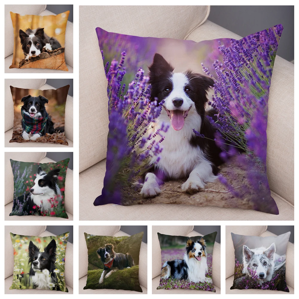 

Cute Scotland Border Collie Pillowcase Dog Printed Soft Plush Pillow Case 45*45cm Decor Pet Animal Cushion Cover for Sofa Car Ho