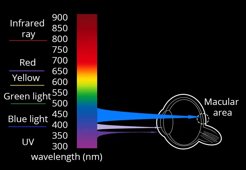 VANLOOK Computer Glasses Round Anti Blue Ray Light Blocking Fashion Metal Eyeglasses Frame Men Women Clear Lens Anti Radiation