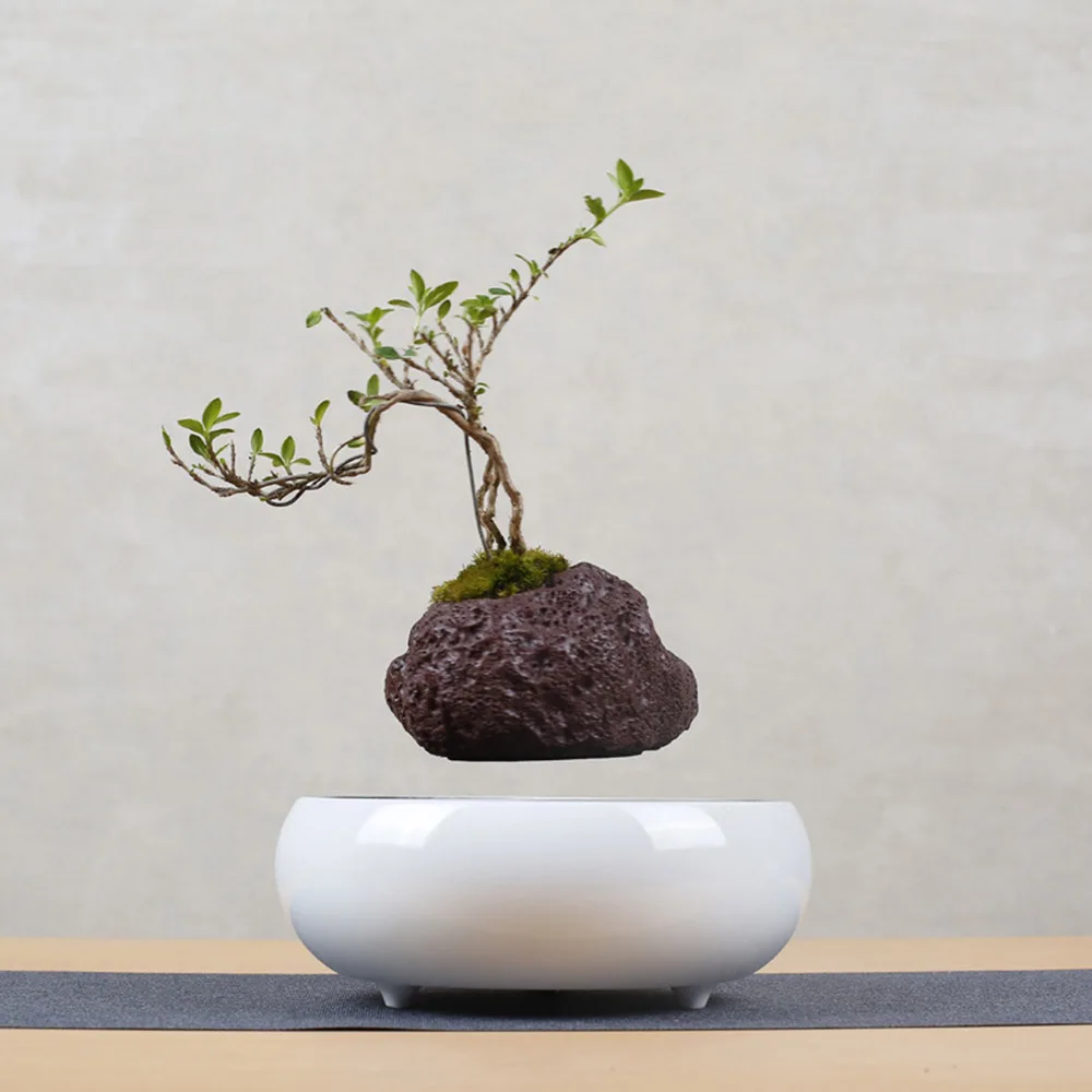 

Cretive Magnetic Suspension Ceramic Potted Artificial Plant Arrangement In Ceramic Vase Ornament Table Office Desk Decorations