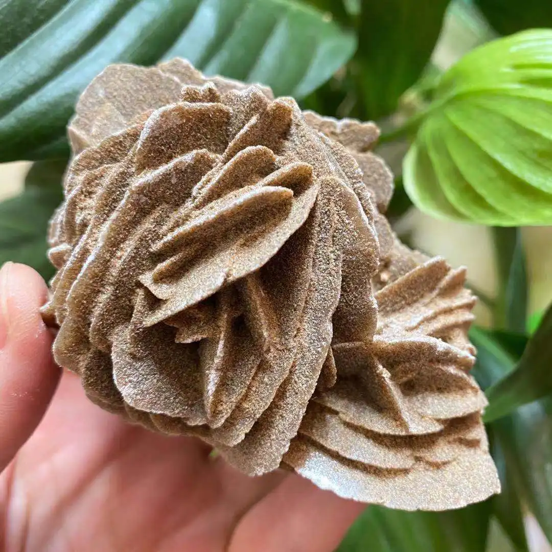 

Natural desert rose crystal quartz energy gem mineral specimen Reiki healing