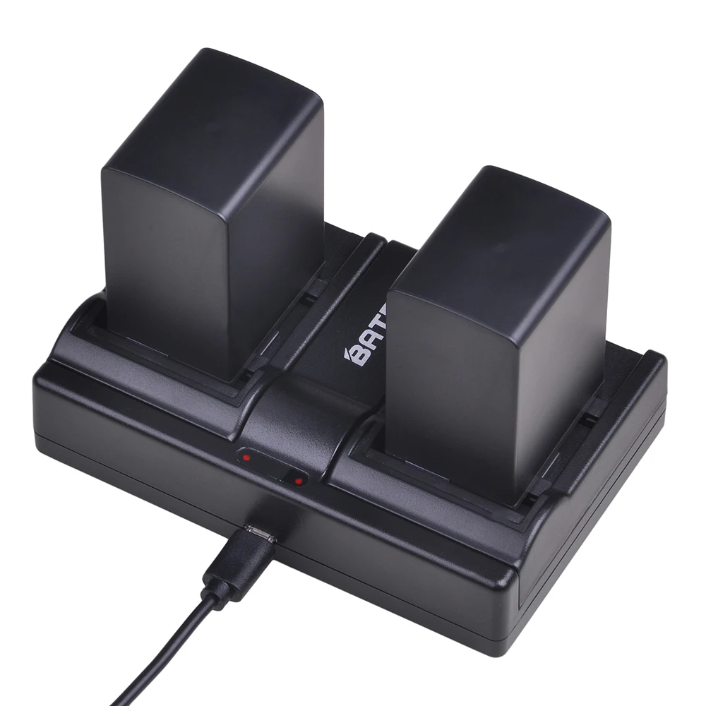 2 шт. аккумулятор 2900 мАч и двойное зарядное устройство USB для фотокамер