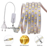 smd 5050 led strip 220v eu power plug with switch outdoor waterproof ribbon 60ledsm flexible led light lamp for home decoration