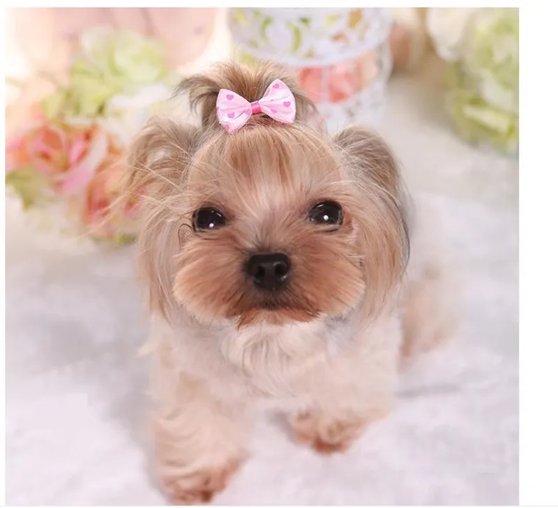 

Pet Dog Love Printed Hairpin Hair Accessories Yorkshire Teddy Dog Exquisite Flower Hair Accessories Dog Grooming Accessories 1pc