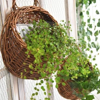 rattan wall hanging storage basket natural wicker home door flower hanger planters garden wedding wall decoration