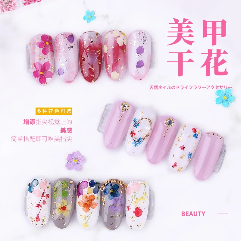 

Wholesale 3D Dried Flower Nail Decoration Natural Floral Sticker Dry Flower DIY Nail Art Decals Jewelry UV Gel Polish Manicure