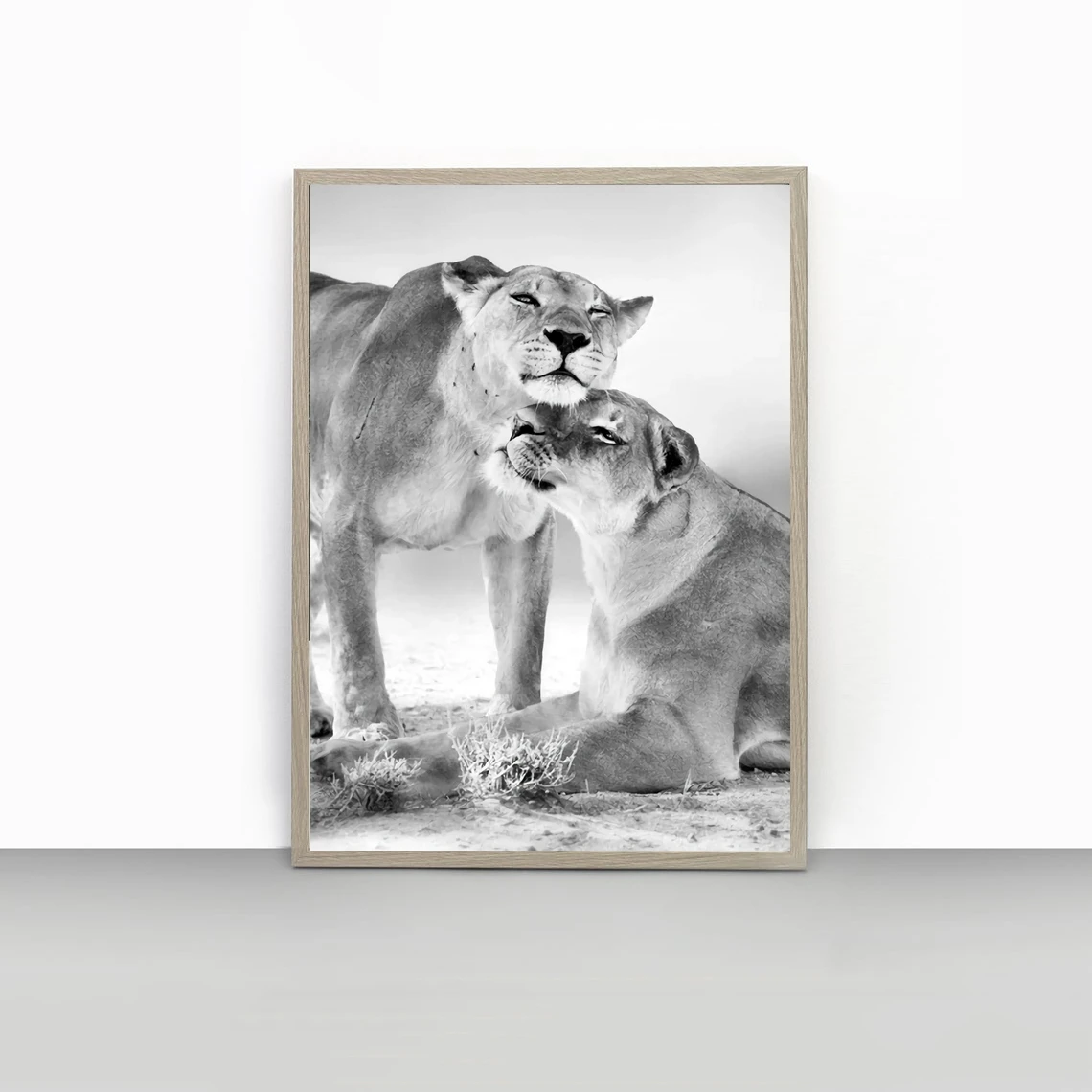 

Lion Love Print Wall Art, Wilderness Photography, Animal Poster, wildlife safari Print Modern Wall Art, Home Décor
