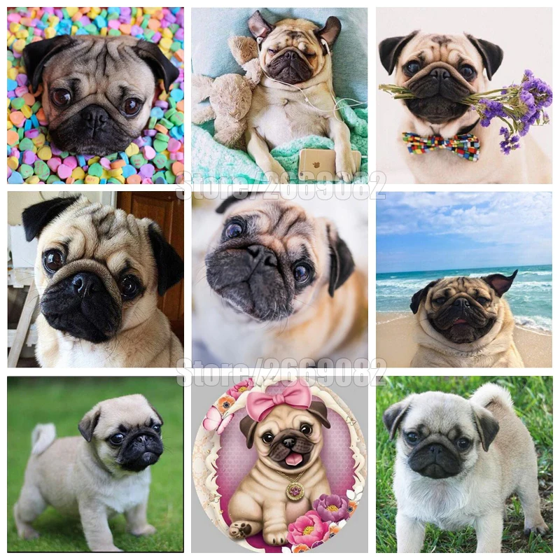 Алмазная живопись сделай сам с полными стразами милая животная мопса вышивка