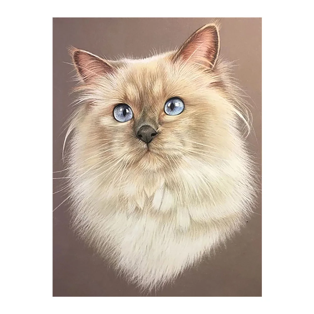 

Berman Cat Cute Animals Diamond Painting Round Full Drill Nouveaute DIY Needlework Mosaic Embroidery 5D Cross Stitch Picture