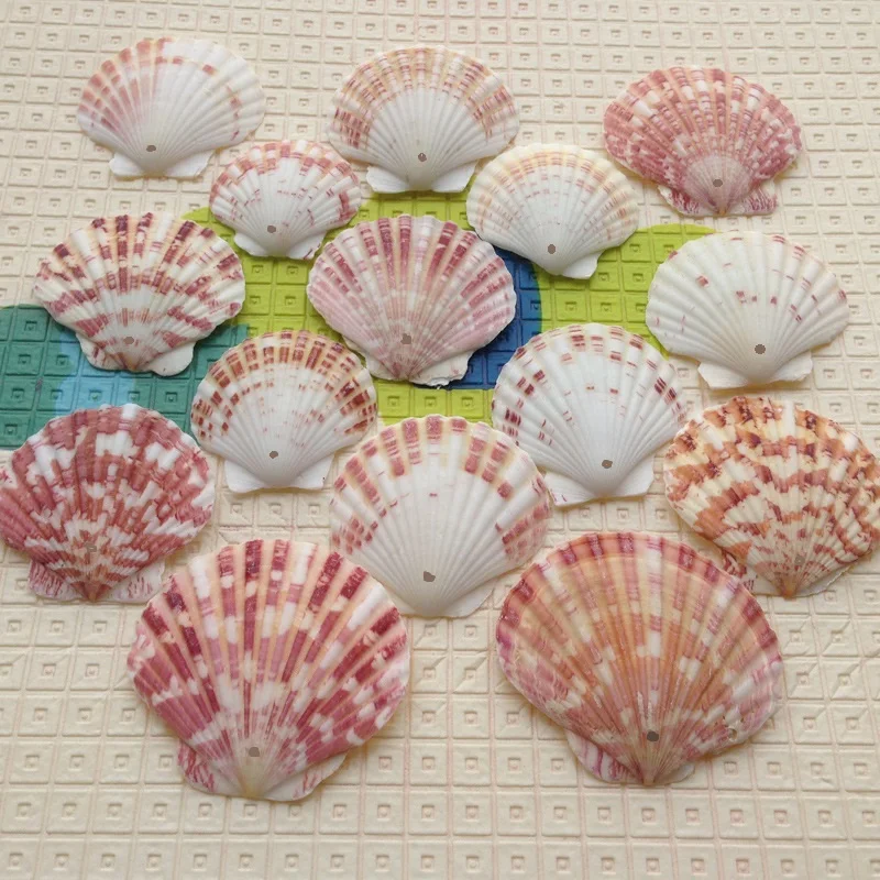 

100pc/Bag Sea Shells Schelpen Coquillage Conchas Shell For Home Decoration Babylon Nautical Home Marine Decor 1.5mm Scallop