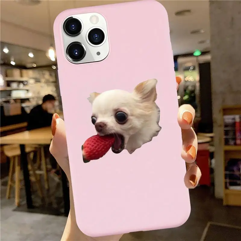 

Cute animal Chihuahua Dog Phone Case Candy Color for iPhone 6 7 8 11 12 s mini pro X XS XR MAX Plus