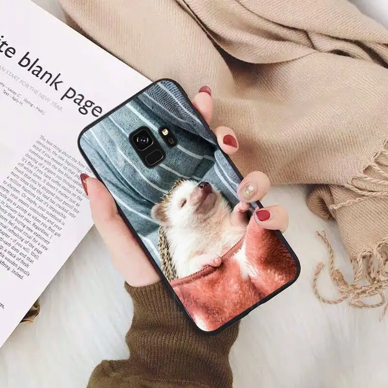 

animal Hedgehog cute funny Phone Case For Samsung Galaxy S5 S6 S7 S8 S9 S10 S10e S20 edge plus lite accessories