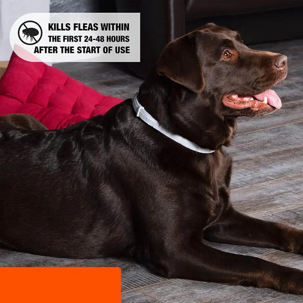 Антиблошиный клещ ошейник для собак нетоксичный растительный эфирное масло