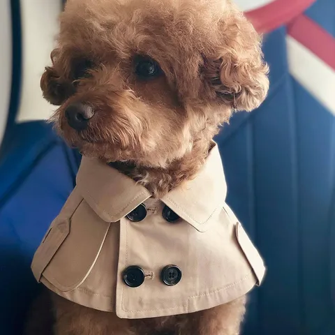 Модная накидка для собак в британском стиле, ветровка, французский бульдог, одежда для домашних животных, накидка, костюм для домашних животных, Тренч