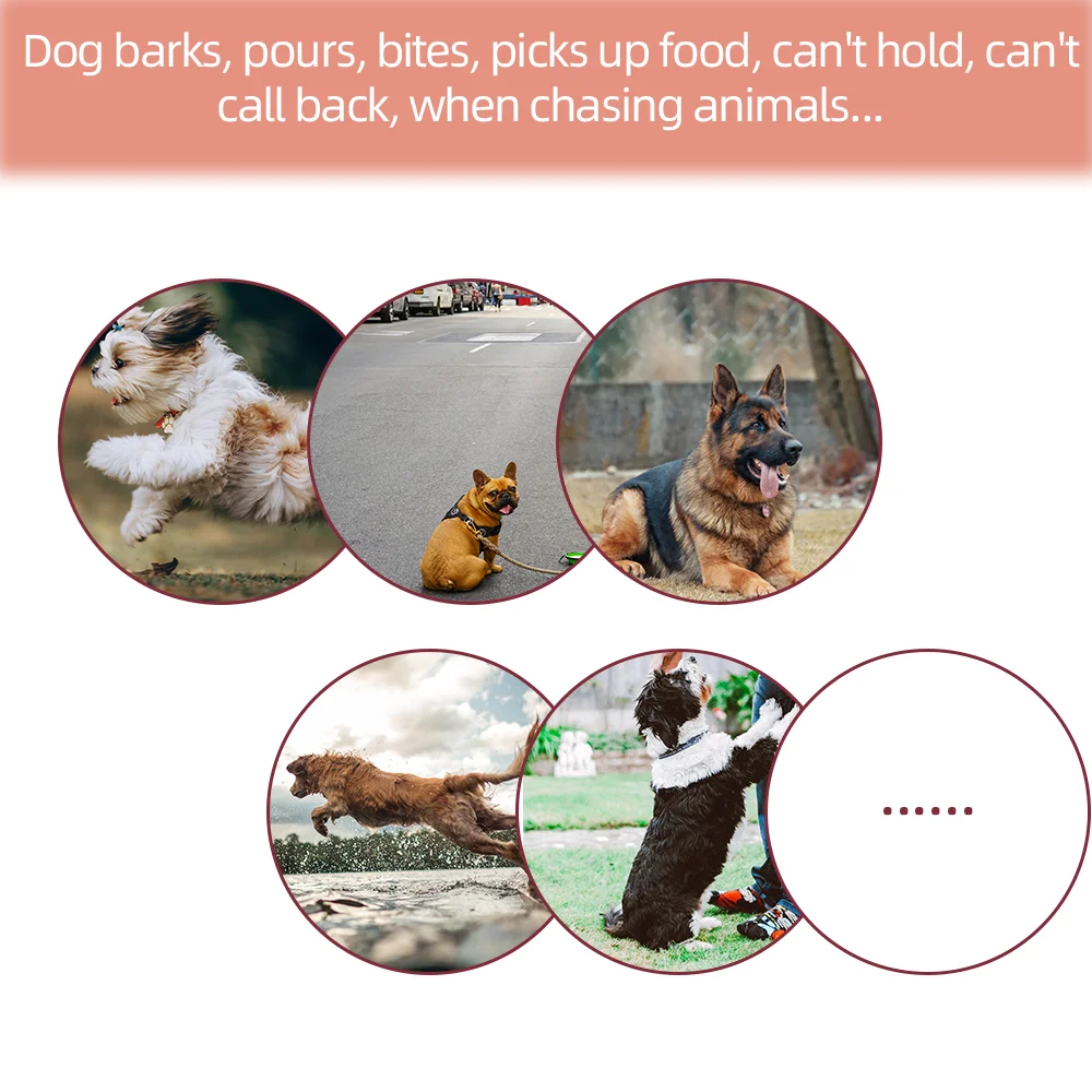 

Dog Collar 800m Electric Dog Training Collar Pet Remote Control Waterproof Rechargeable for All Size Shock Vibration Sound40%off