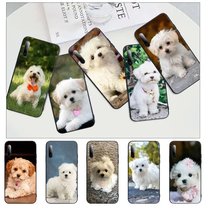 

Maltese Dog Puppy cute animal Phone Case For iphone 12 11 13 7 8 6 s plus x xs xr pro max mini shell