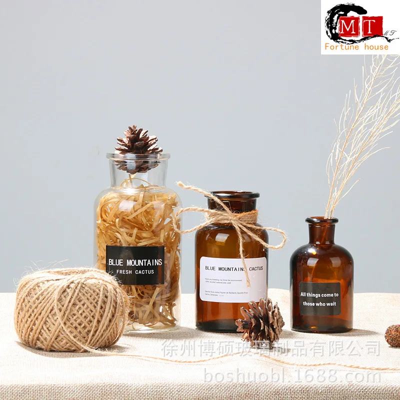 Креативная Скандинавская стеклянная ваза гидропонная современные