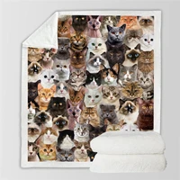 you will have a bunch of cats blanket 3d printed fleece blanket on bed home textiles dreamlike 07