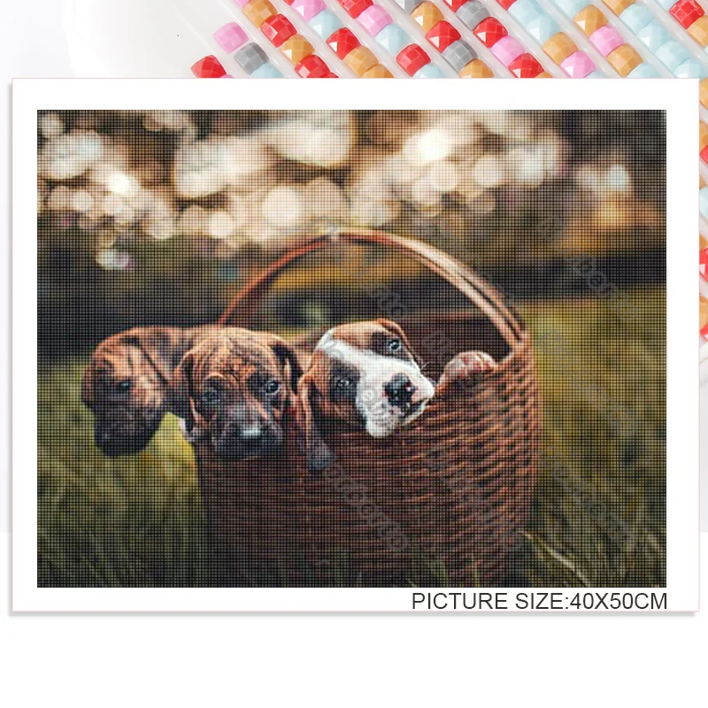 

DIY Diamond Decoration Painting Cute and Expensive Dogs Huskies Hagan Hound Square or Round Diamond Customizable Wall Art Decora