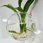 Новая настенная рыбка бачок чаша пузырьковый аквариум подвесной Террариум бета Золотая рыбка товары для дома Q4R1