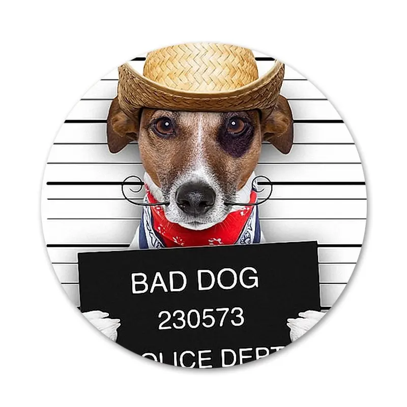 Новое поступление Джек Рассел-терьер фотосессия украшение для одежды рюкзака