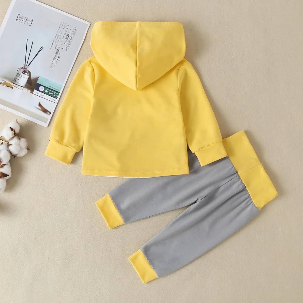 Комплект одежды для детей толстовка с длинным рукавом и принтом + штаны 2