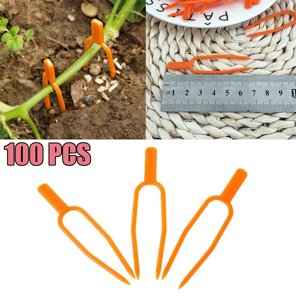 100 ПК/200 ПК помидоры в форме клубники вилка садовое растение Поддержка