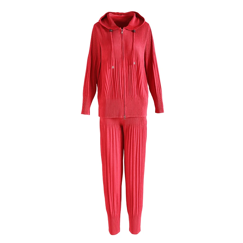 

Two Piece Set Women Stretch Miyake Pleat Plus Size 2021New Spring Fashion Casual Hooded Long Sleeve Top + Pants Suits