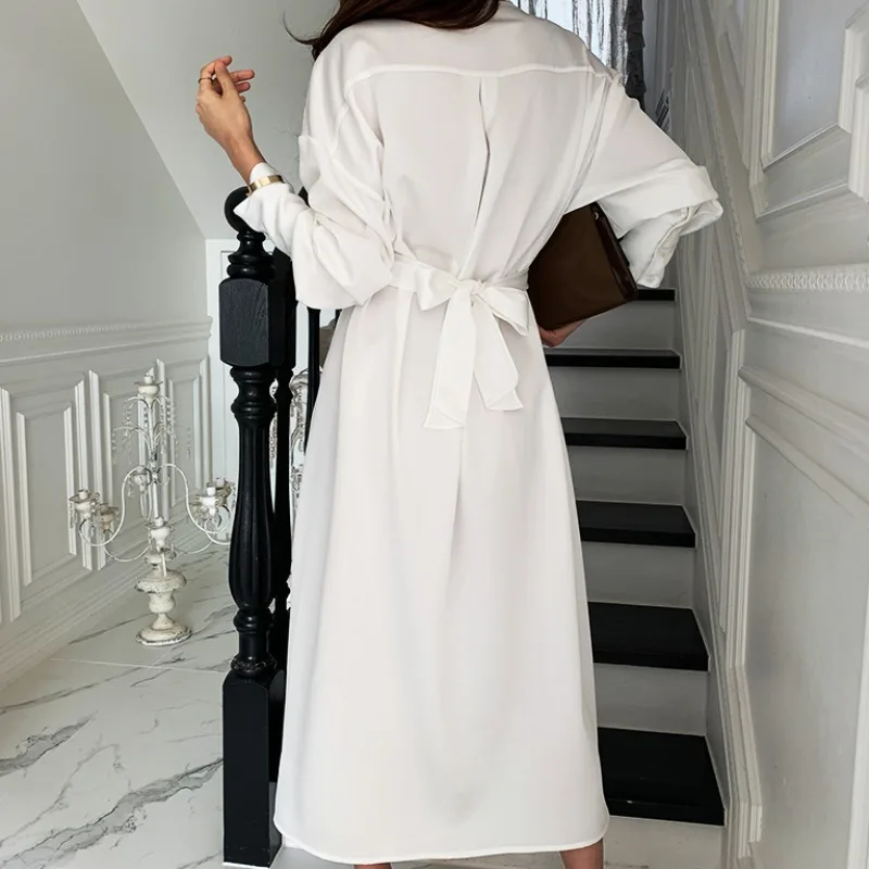 

Spring 2021 New Dress Women's Korean Chic French Style Cool Design Mid-Length Chiffon Shirt Dress
