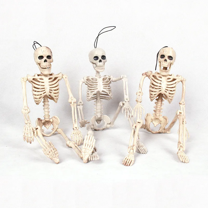 Skeleton Human Model Skull Full Body Anatomy Learn Skeleton Model Medical Human Anatomical Anatomy Bone Toy Halloween Decoration