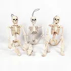 Модель человека-скелет, анатомия всего тела, изучающая медицинская модель скелета, анатомическая игрушка для костей, украшение на Хэллоуин