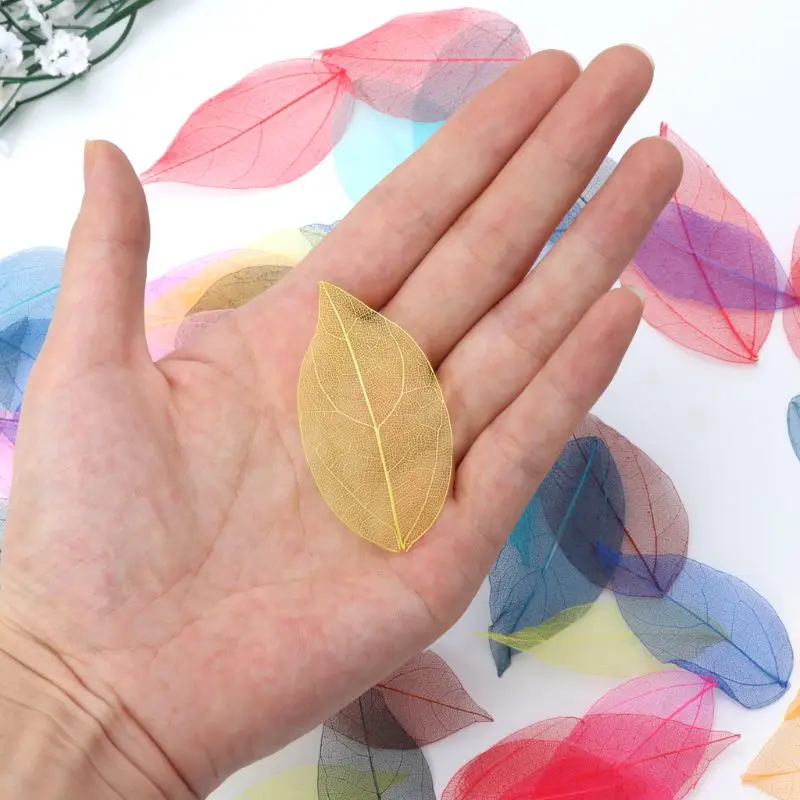 

50 Pcs Mixed Color Natural Skeleton Leaves Pressed Flower for Jewelry Making