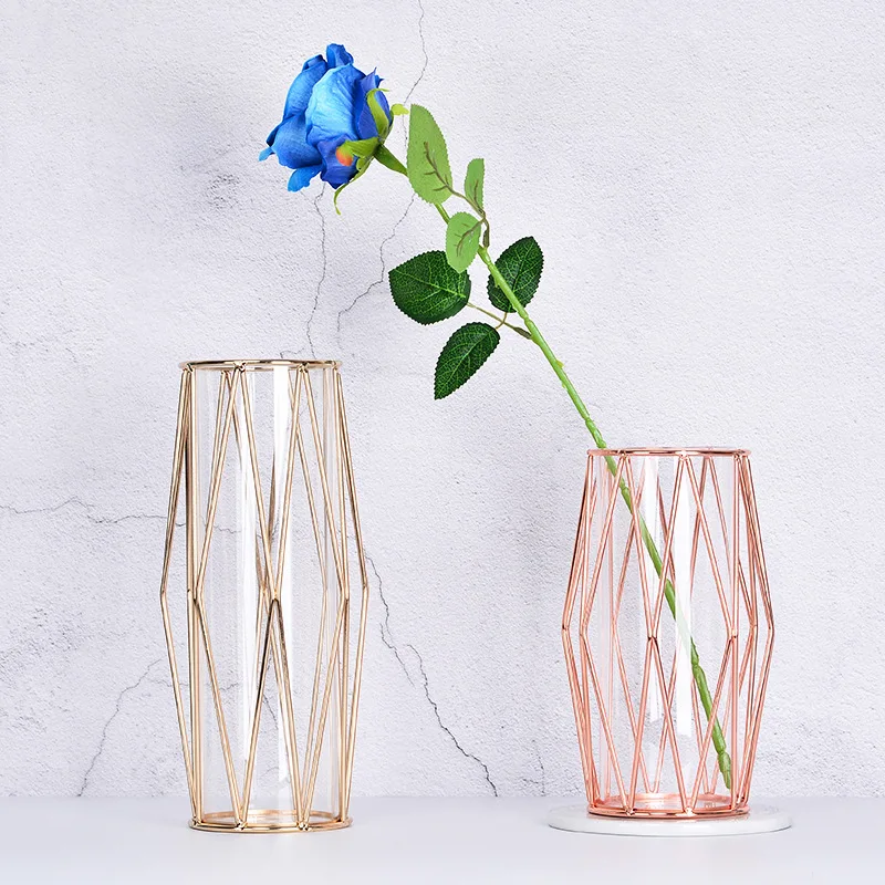 

Nordic Minimalism Flower Vase Rhombus Iron Test Tube Glass Plant Pots Decorative Modern Flower Arrangement Terrarium Container