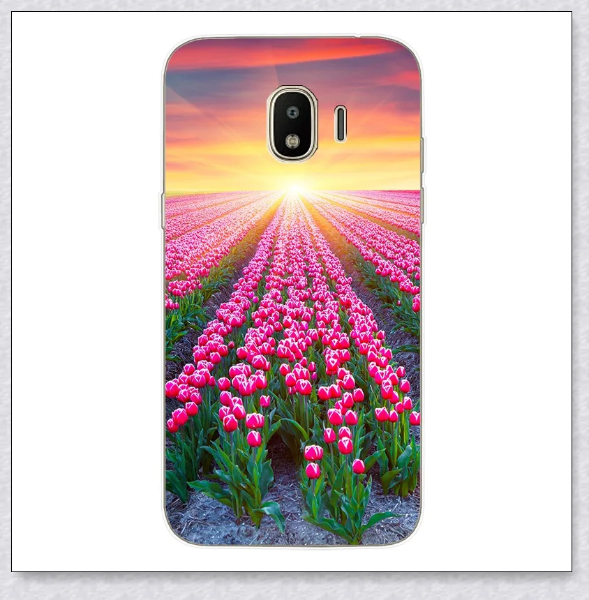053 Силиконовый чехол для samsung Galaxy J2 J2 pro J250F милый мягкий чехол с принтом для samsung J 2 Pro J250F Чехлы бамперы - Цвет: 053