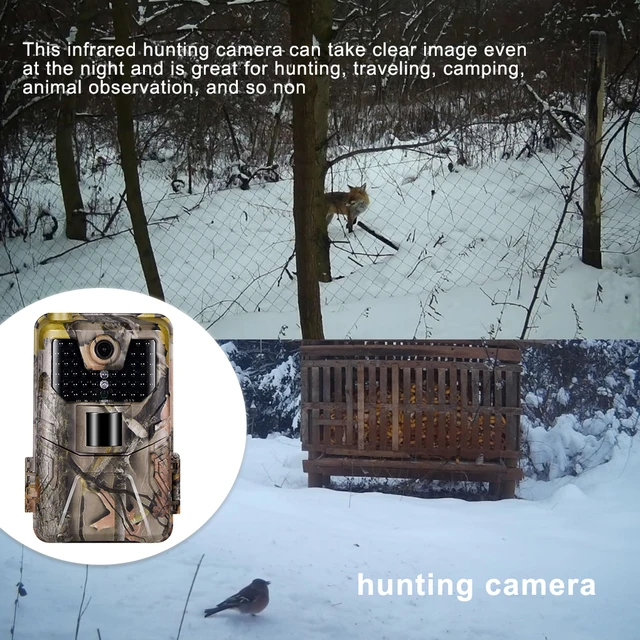 Wildlife Surveillance Hunting Cam